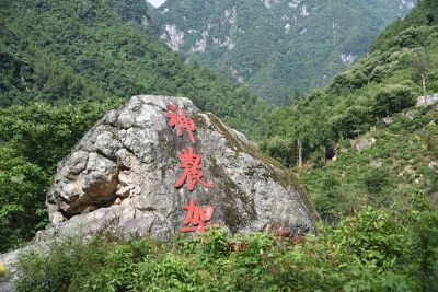 宜昌到神农架跟团线路
