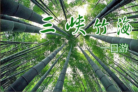 宜昌三峡竹海生态风景区电话
