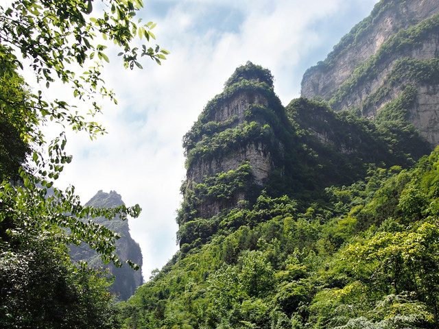 宜昌三峡竹海生态风景区电话