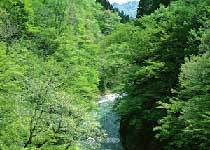 宜都宋山森林公园指南