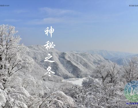 宜昌西塞国森林公园旅游指南