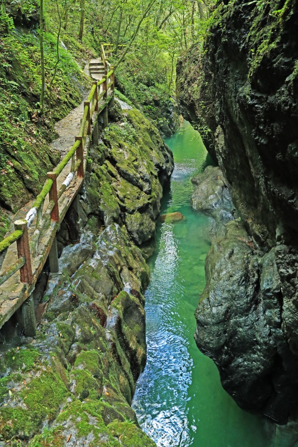 后河自然保护区旅游攻略