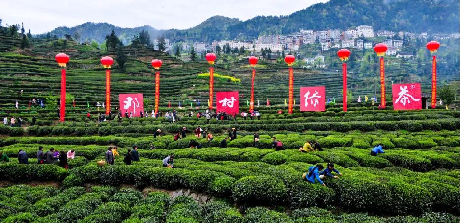 宜昌乡村旅游