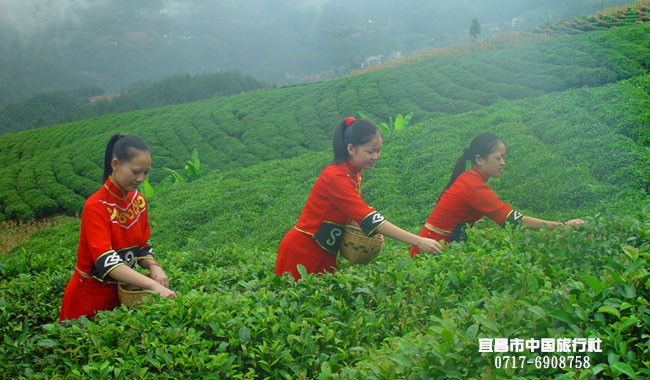 宜昌三峡旅游