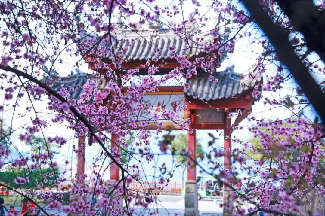 宜昌屈原故里景区集散中心