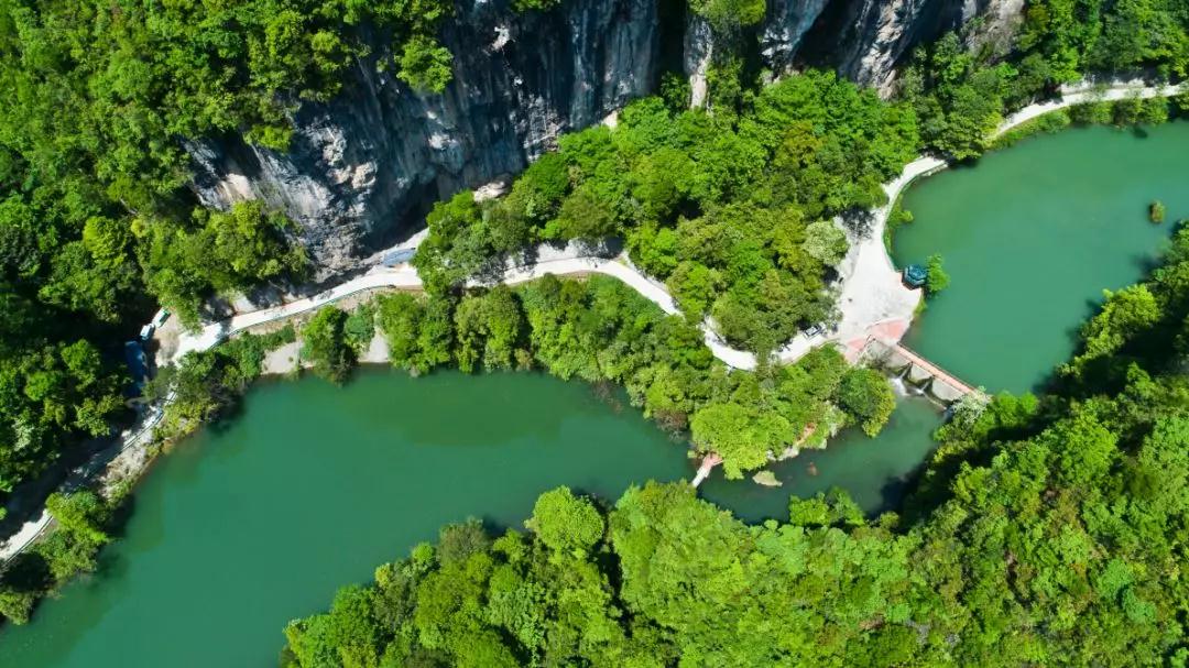 宜昌中亚楠木林大峡谷景区 宜昌中亚楠木林大峡谷景区