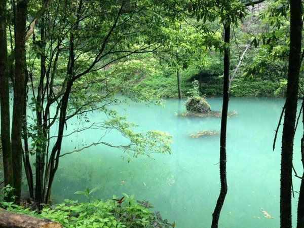 宜昌中亚楠木林大峡谷景区 