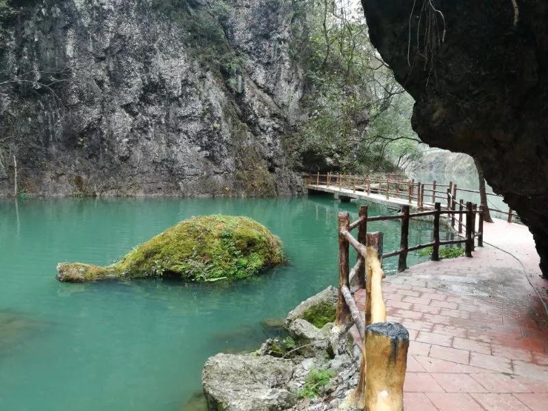 宜昌中亚楠木林大峡谷景区 