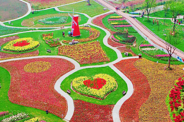 枝江同心花海风景区