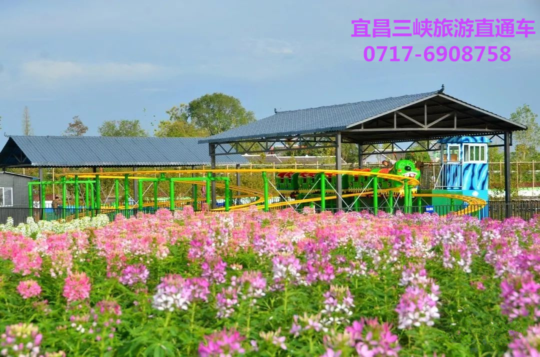 枝江同心花海旅游介绍