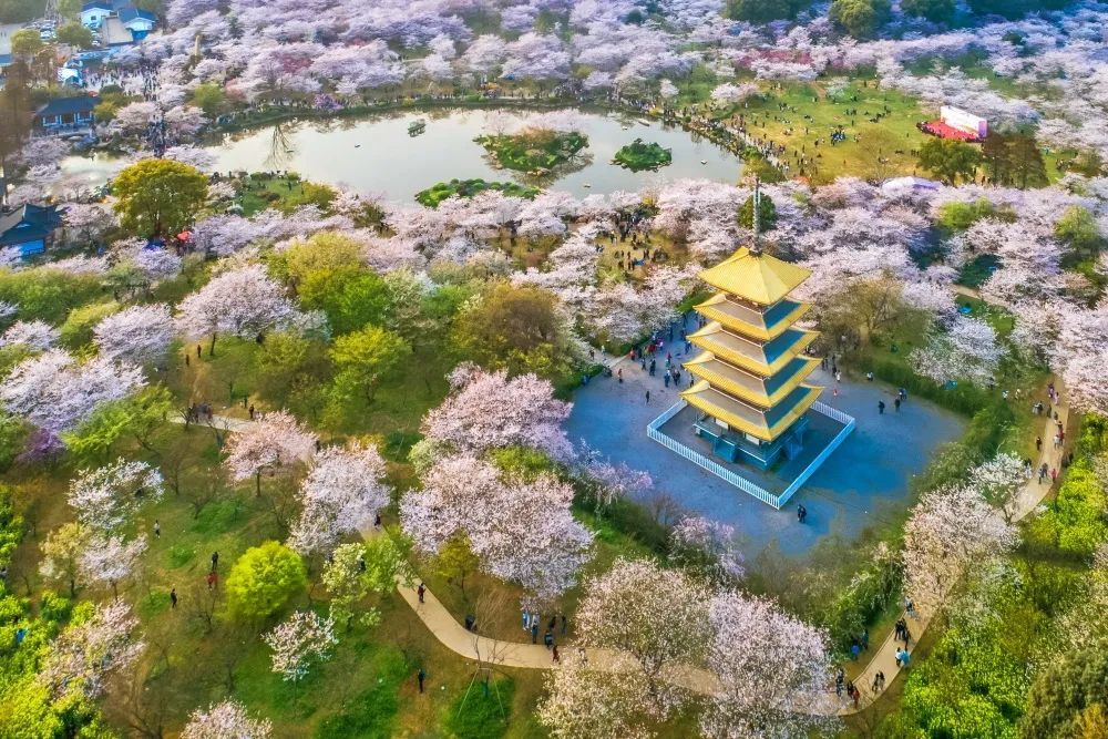 武汉东湖旅游攻略