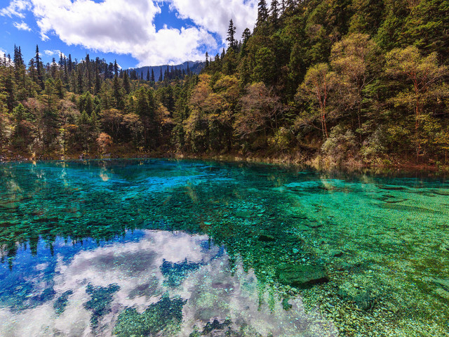 春节宜昌旅游