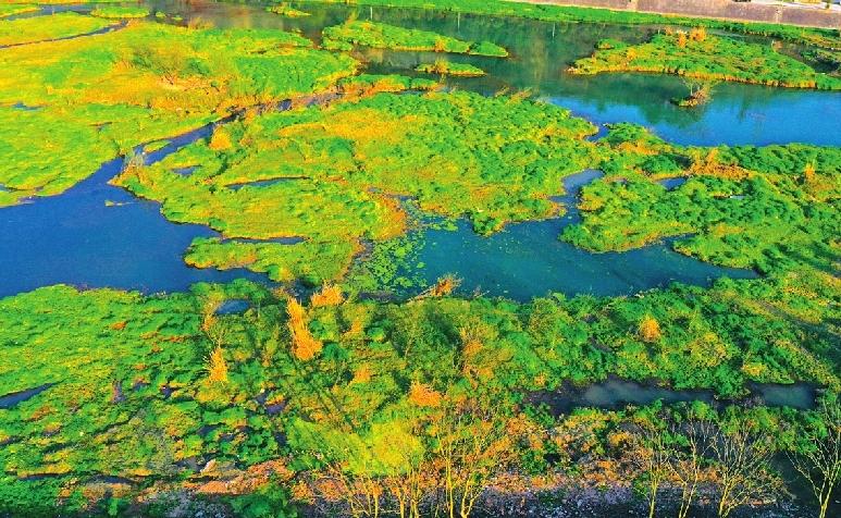 宜昌赏花旅游指南