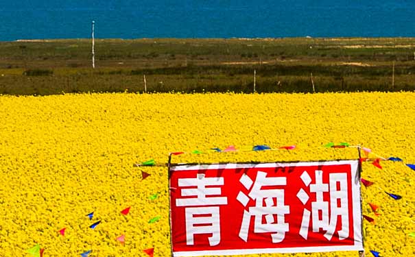 青海旅游集散中心