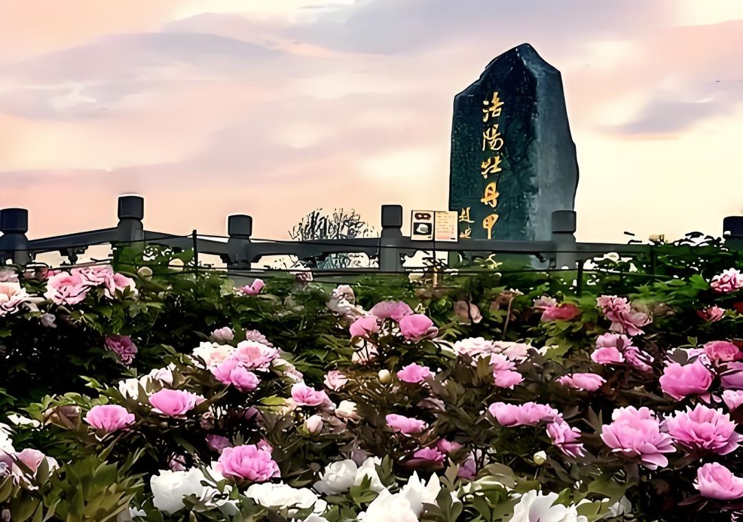 河南洛阳旅游网