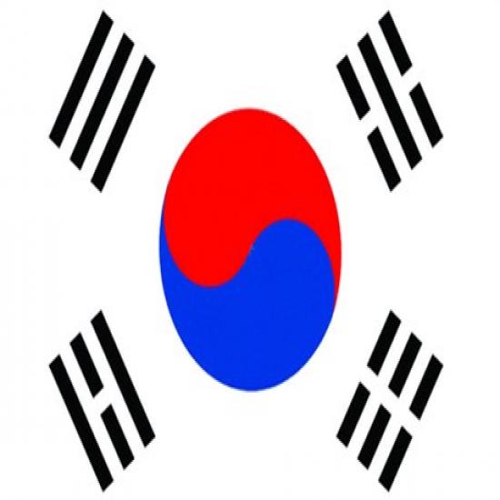 韩国旅游签证