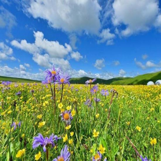 宜昌哪家旅行社正规_宜昌哪家旅游公司比较靠谱_宜昌旅行社哪个口碑好